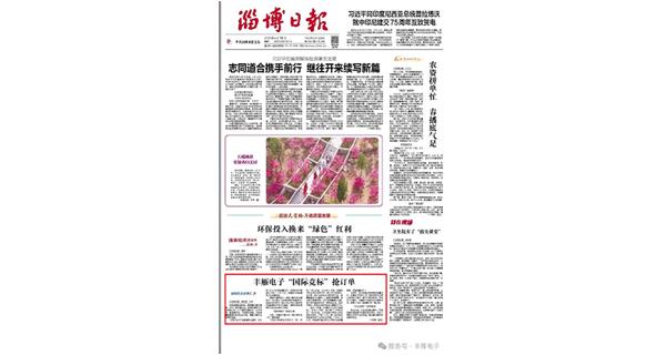 豐雁電子榮登《淄博日?qǐng)?bào)》頭版